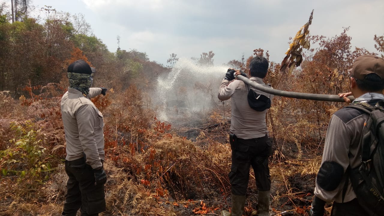 Bengkalis Diguyur Hujan Lebat Selama Dua Hari, Karhutla di Kabupaten Bengkalis Padam Total